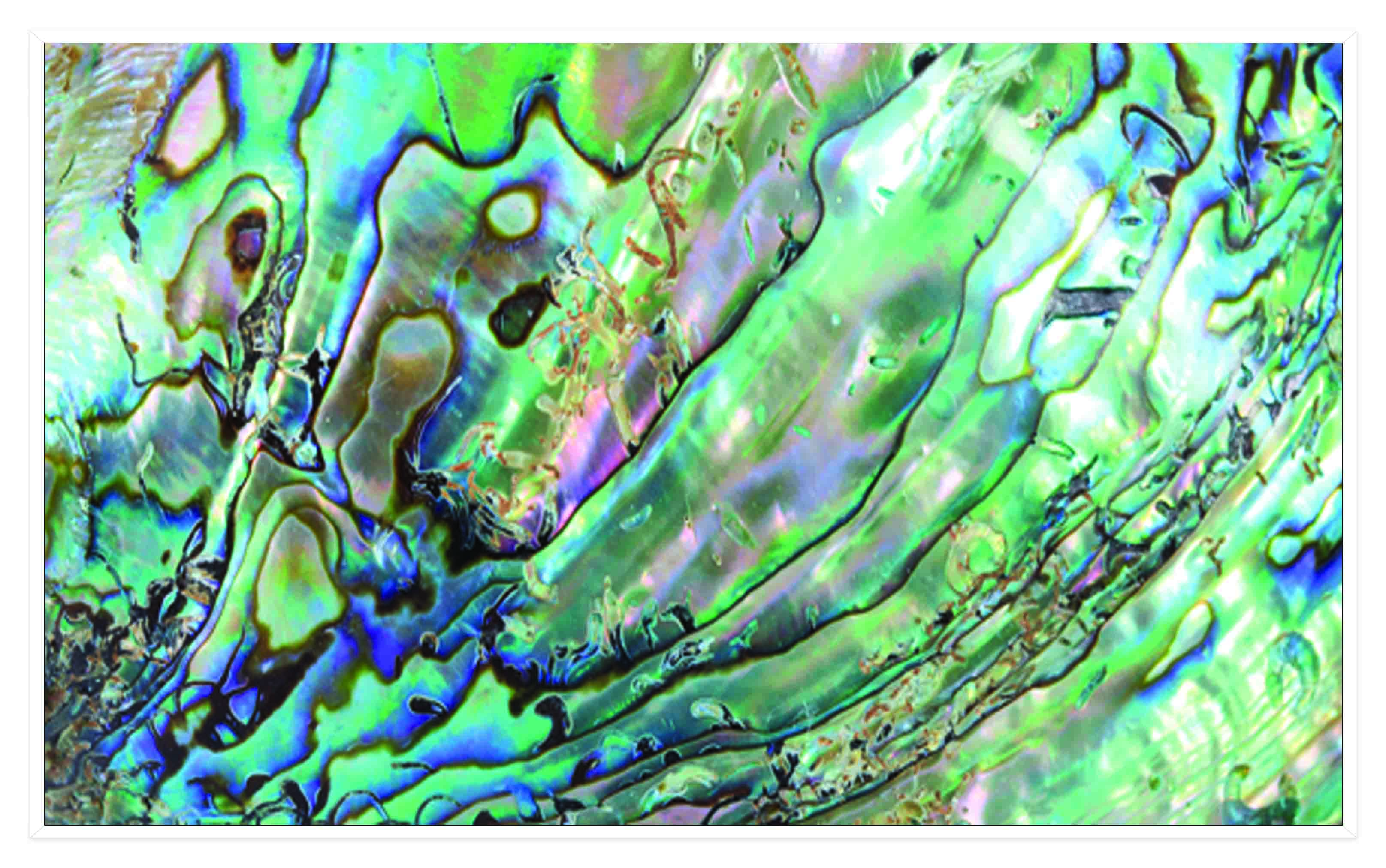 ASG225 Wall décor art printed on glass abstract
